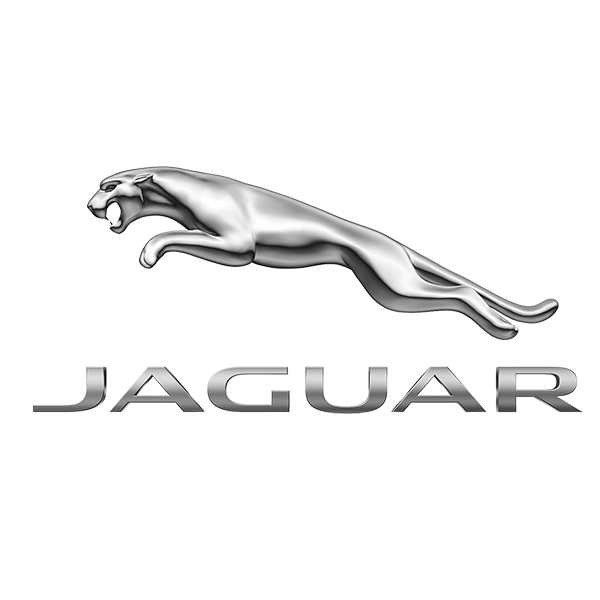 jaguar-morocco